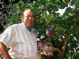 Fotos Noticias 2009